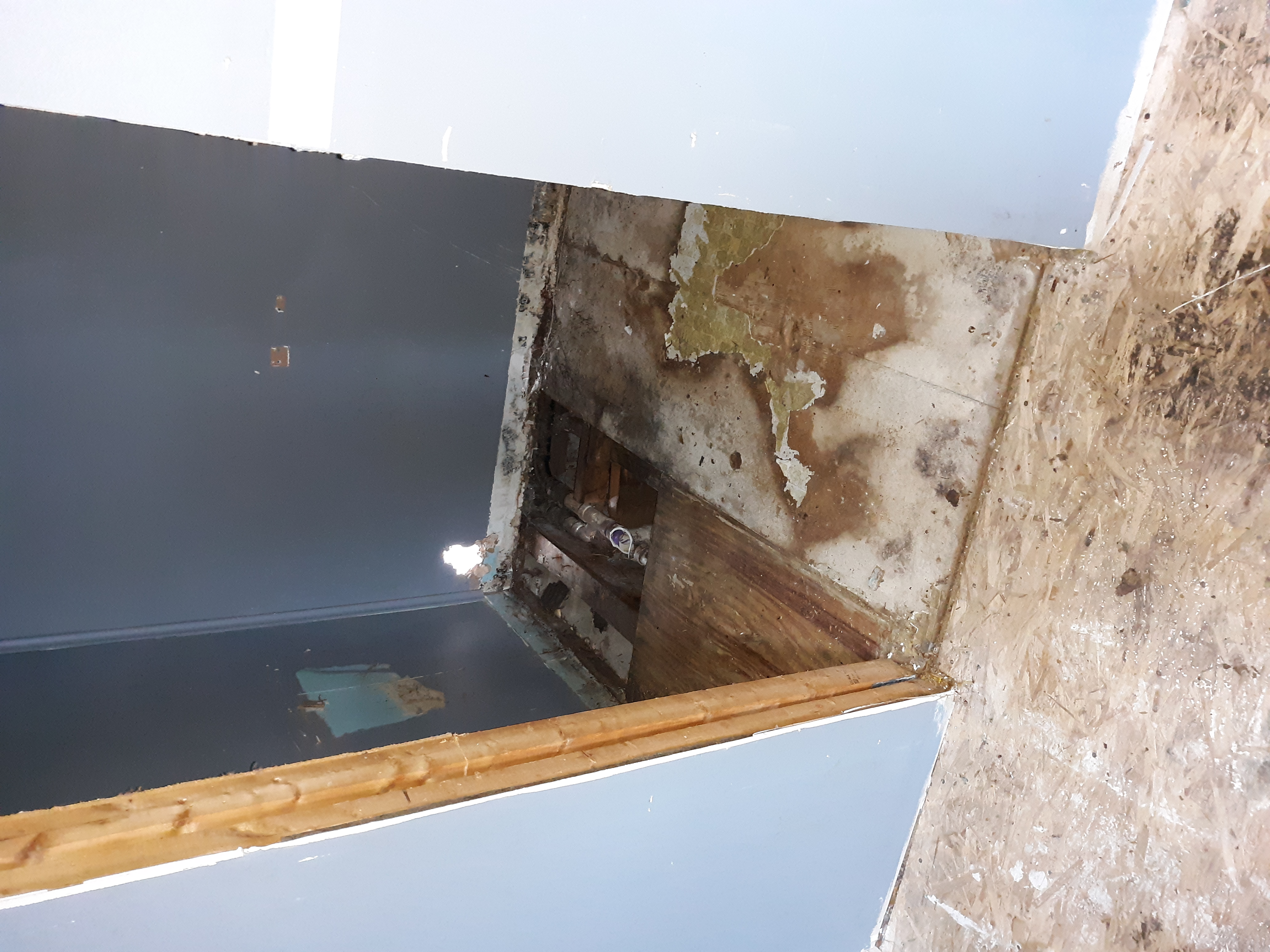 Avatar for Neals.painting.maintenace