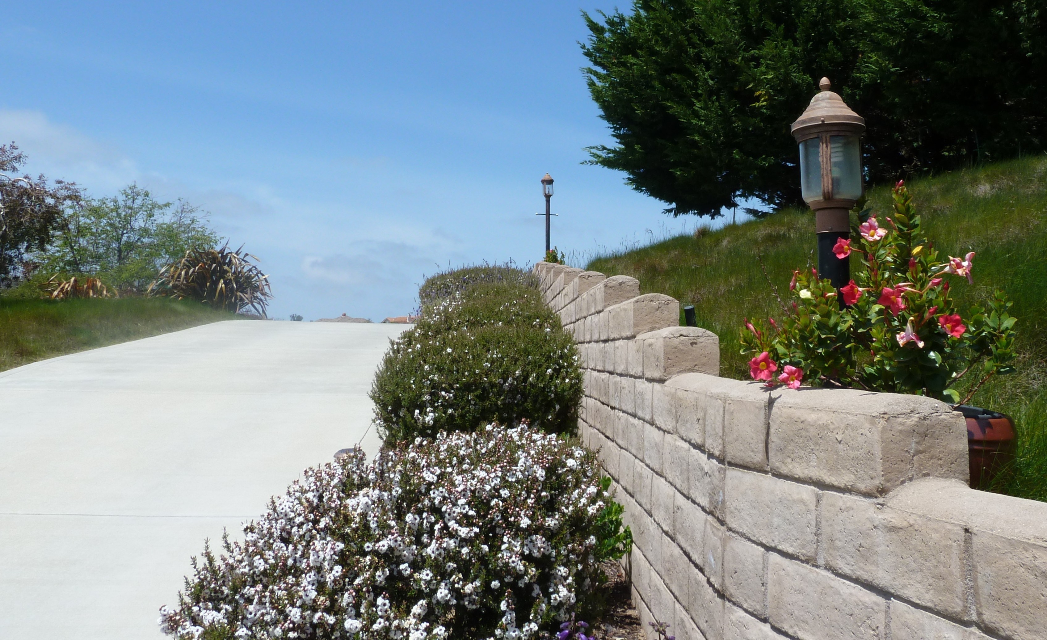 Avatar for 5 Star Electric