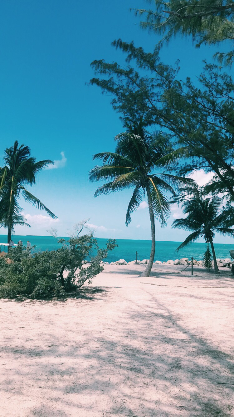 Avatar for Simply Clean Svcs Inc