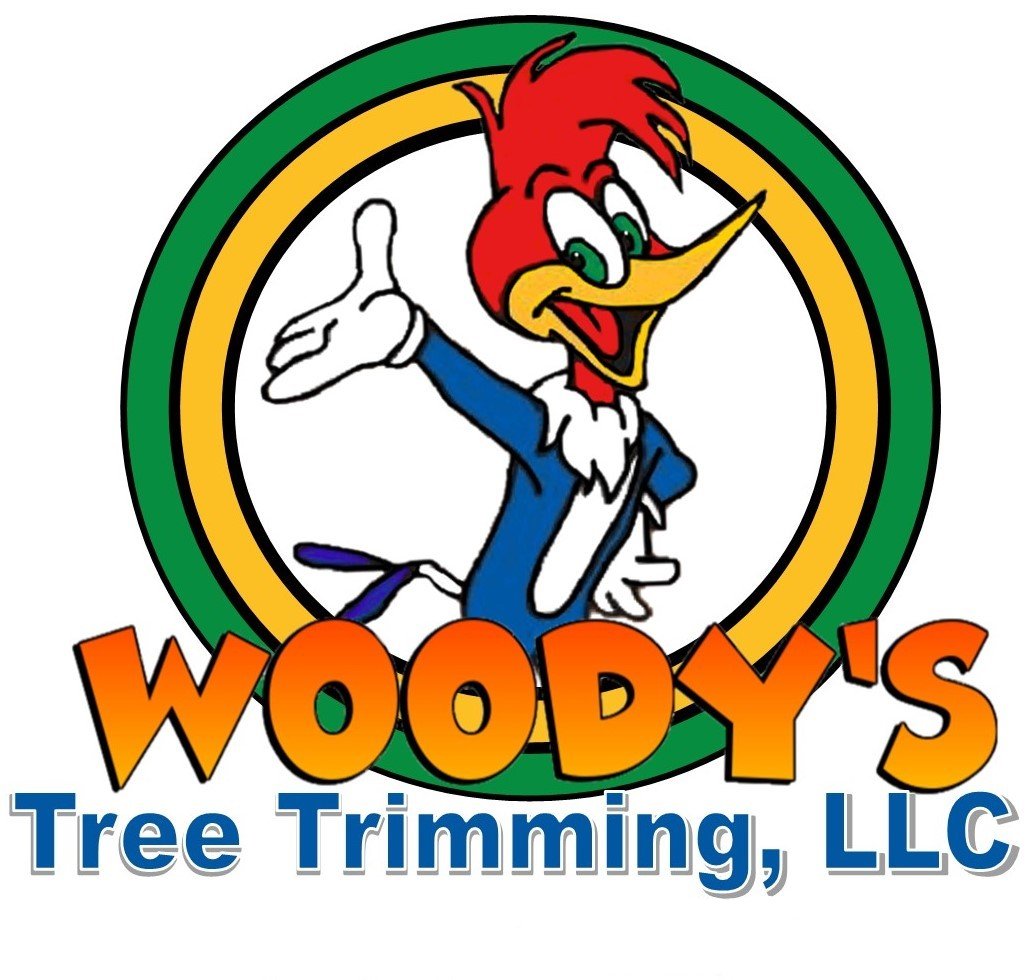 Avatar for Woody's Tree Trimming LLC