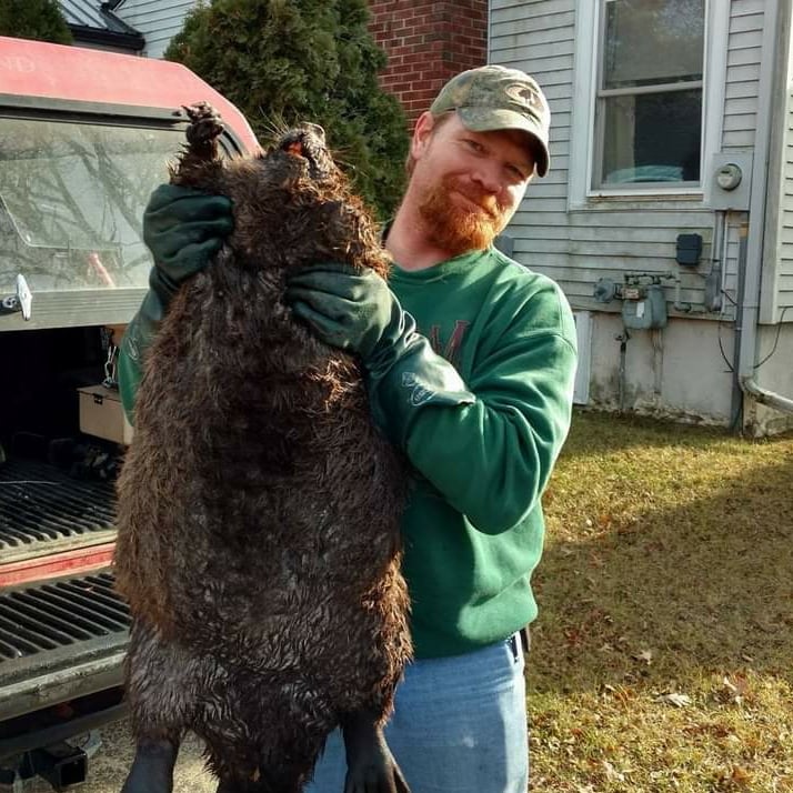 Avatar for Trapperbill LLC