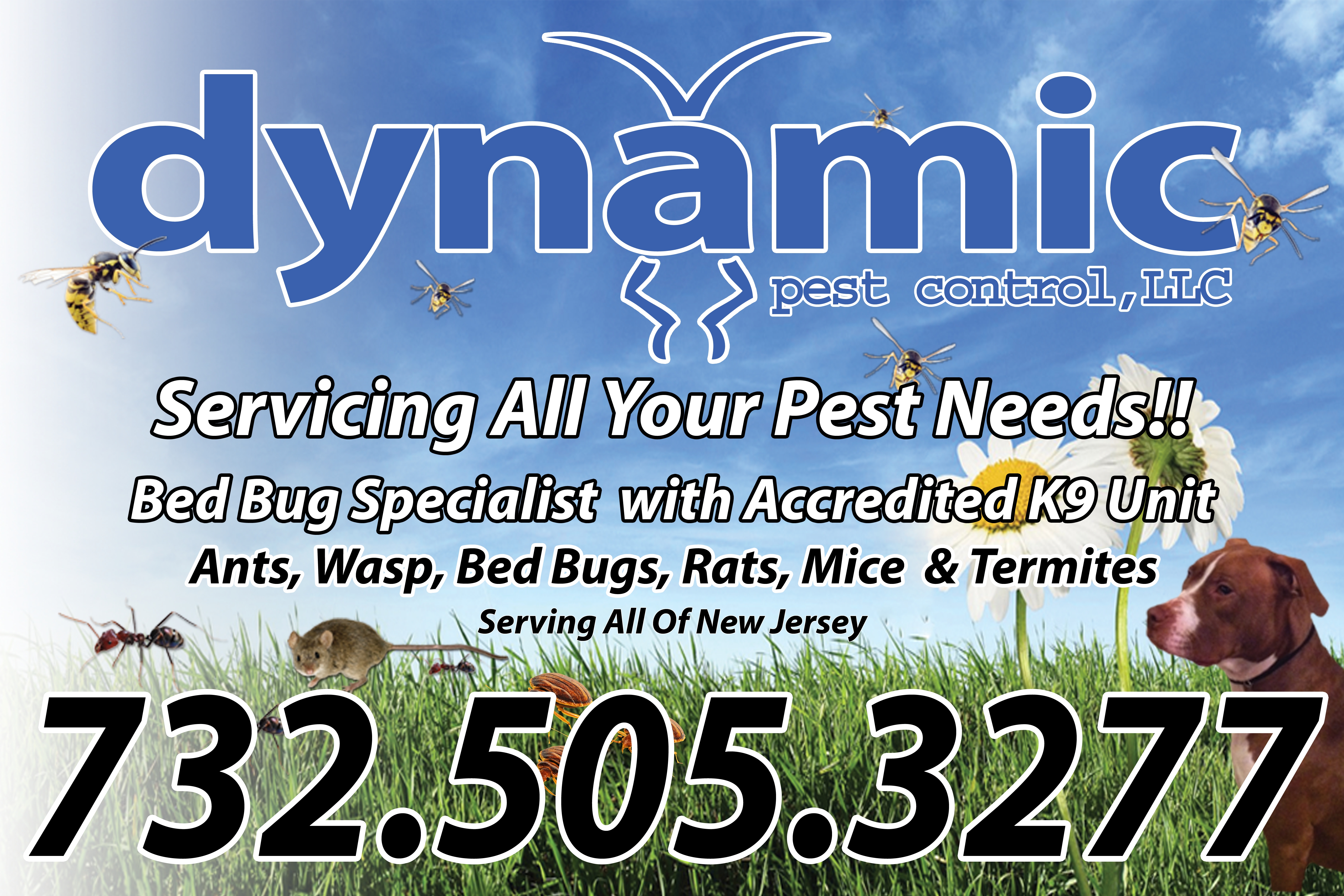 Avatar for Dynamic Pest Control