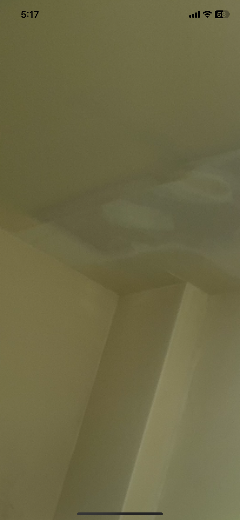 Avatar for Muddslinger Mikes