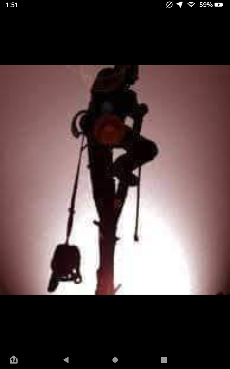 Avatar for firewood home delivery