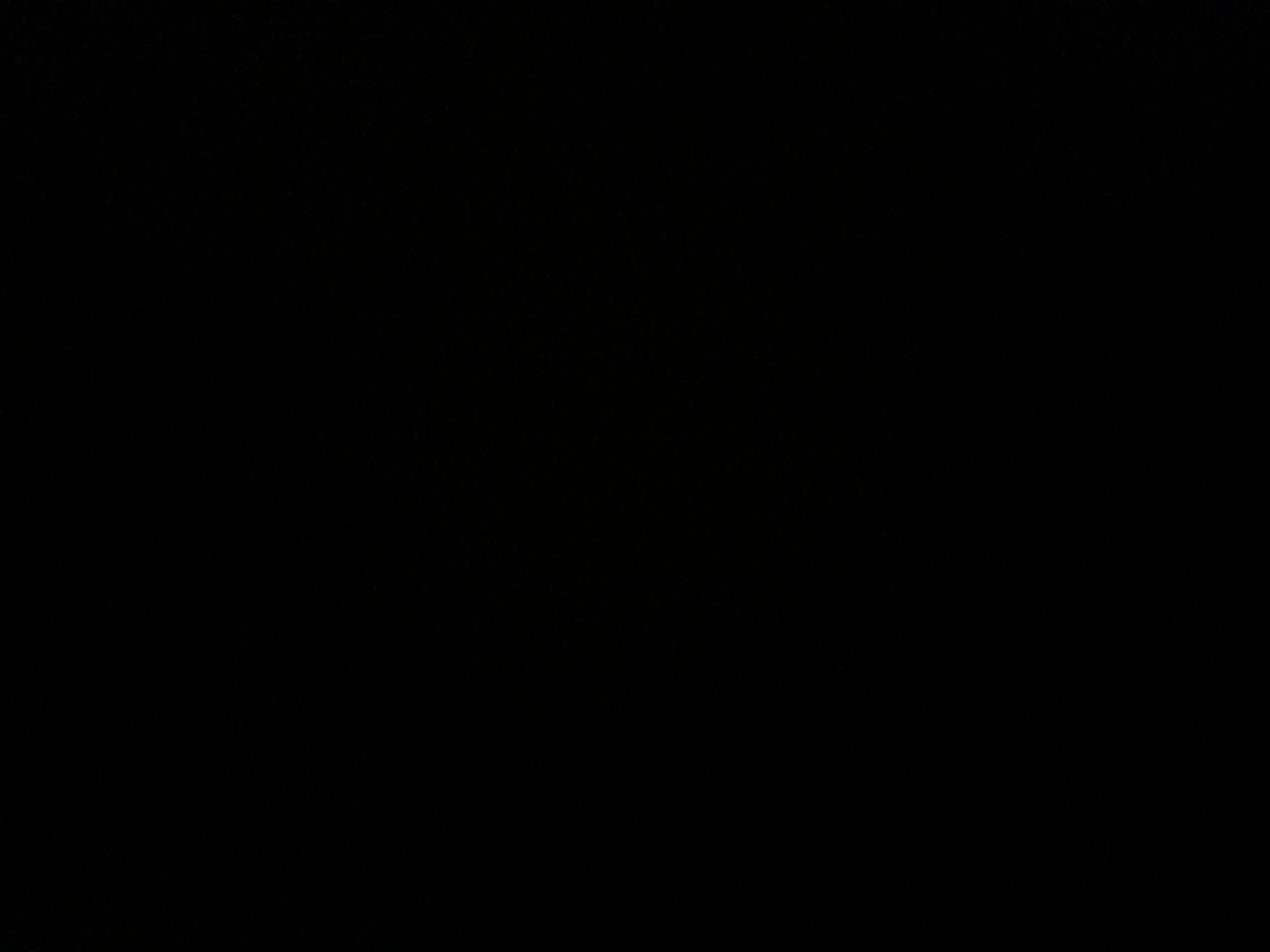 Avatar for Lupo Contracting