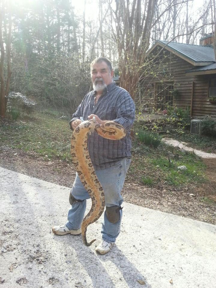 Byram Wildlife Removal LLC. logo