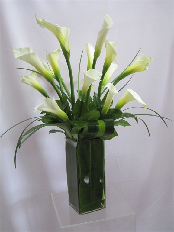 Calla Lilies