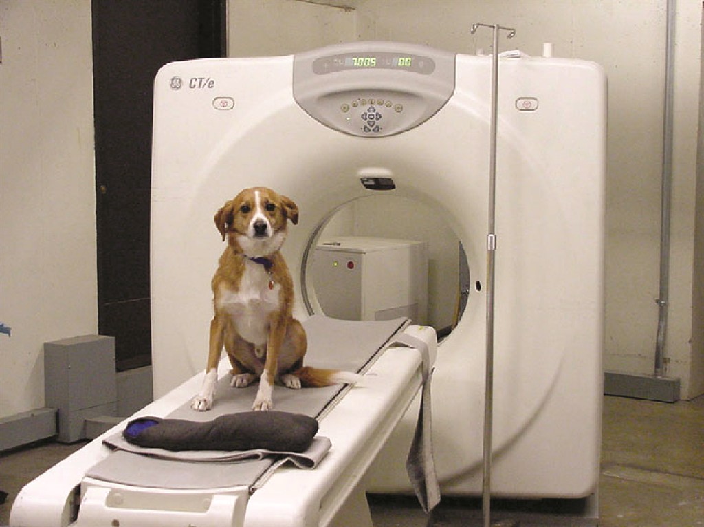CT unit