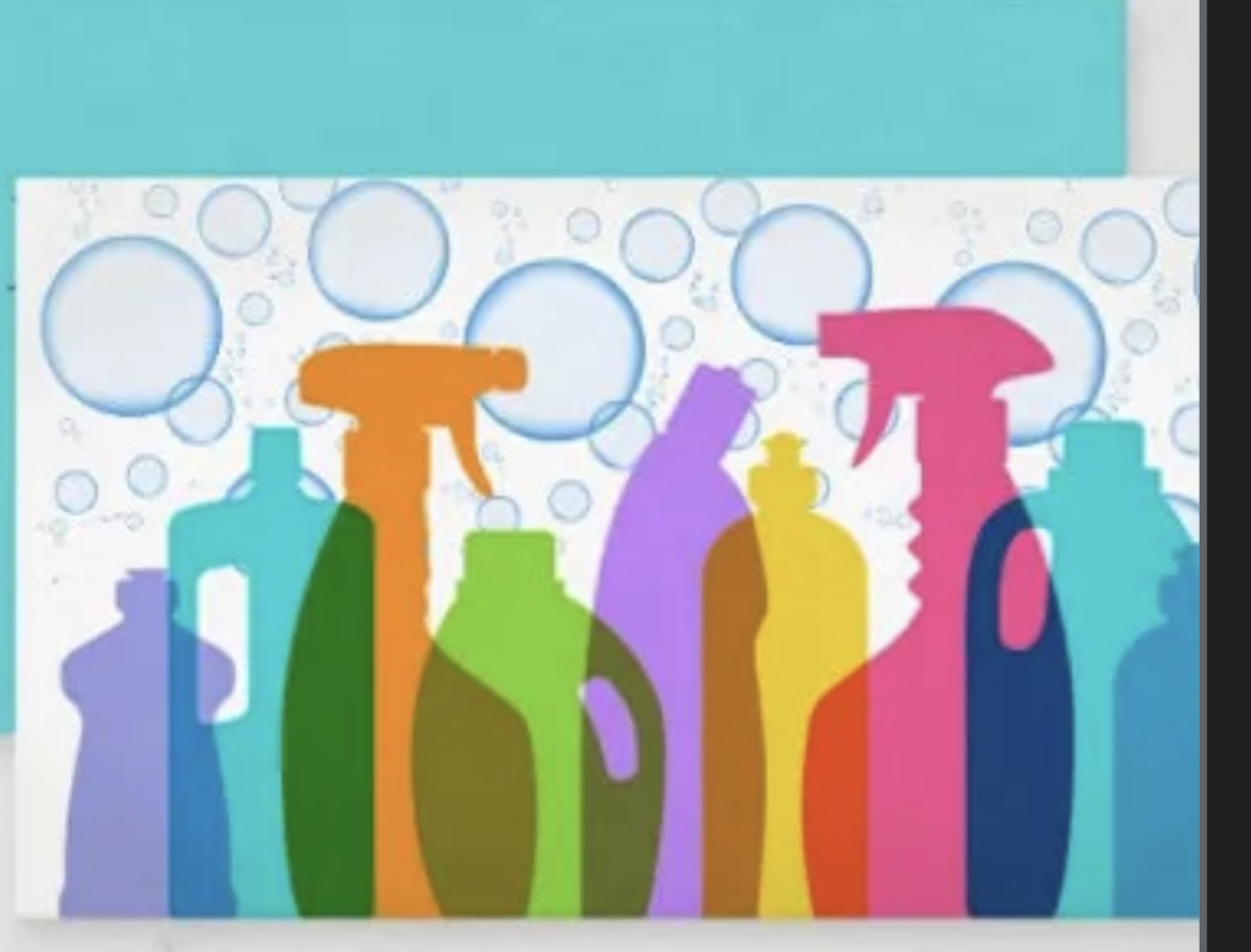 Avatar for Lashaes cleaning