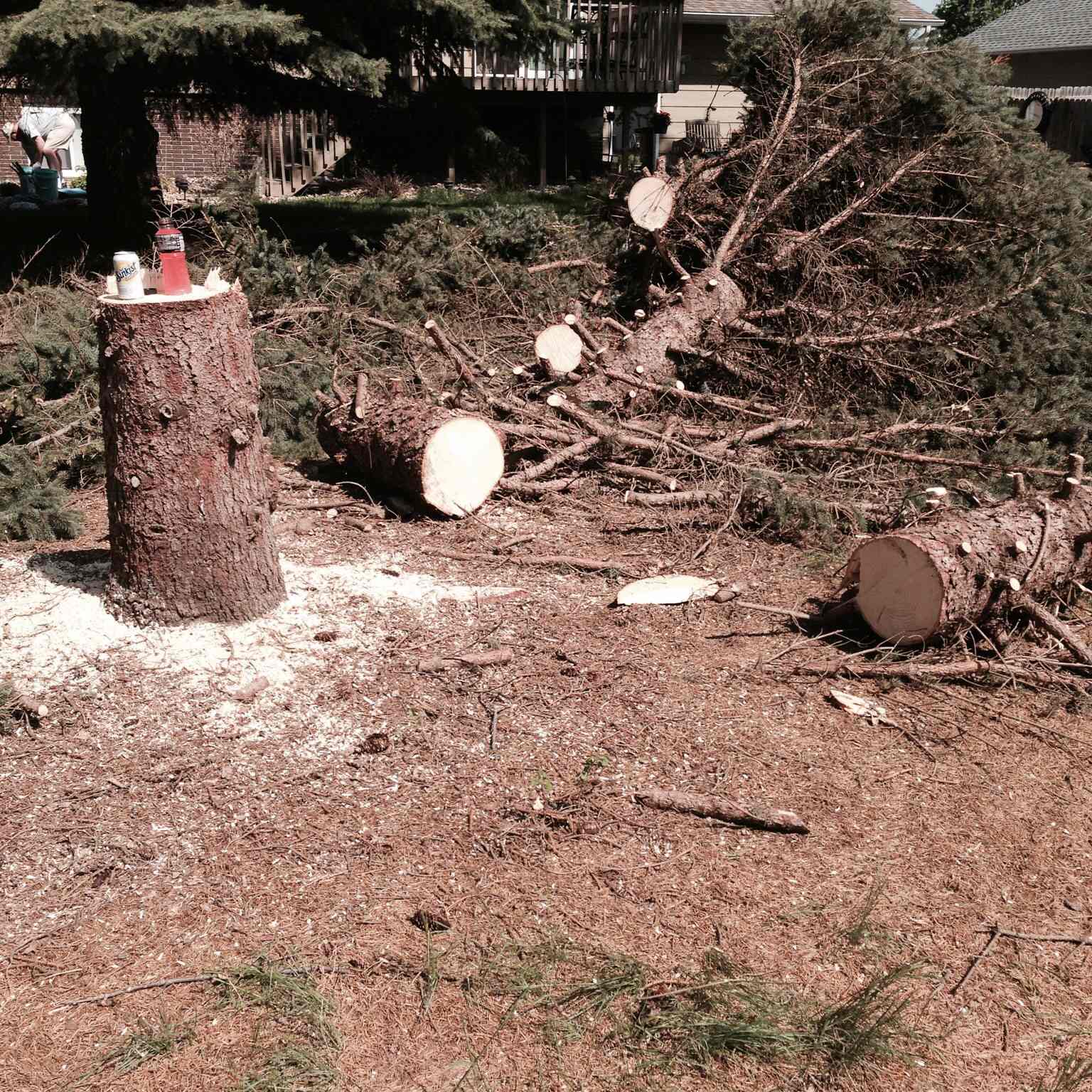 Rock and a Hard Place Landscape and Tree Service logo