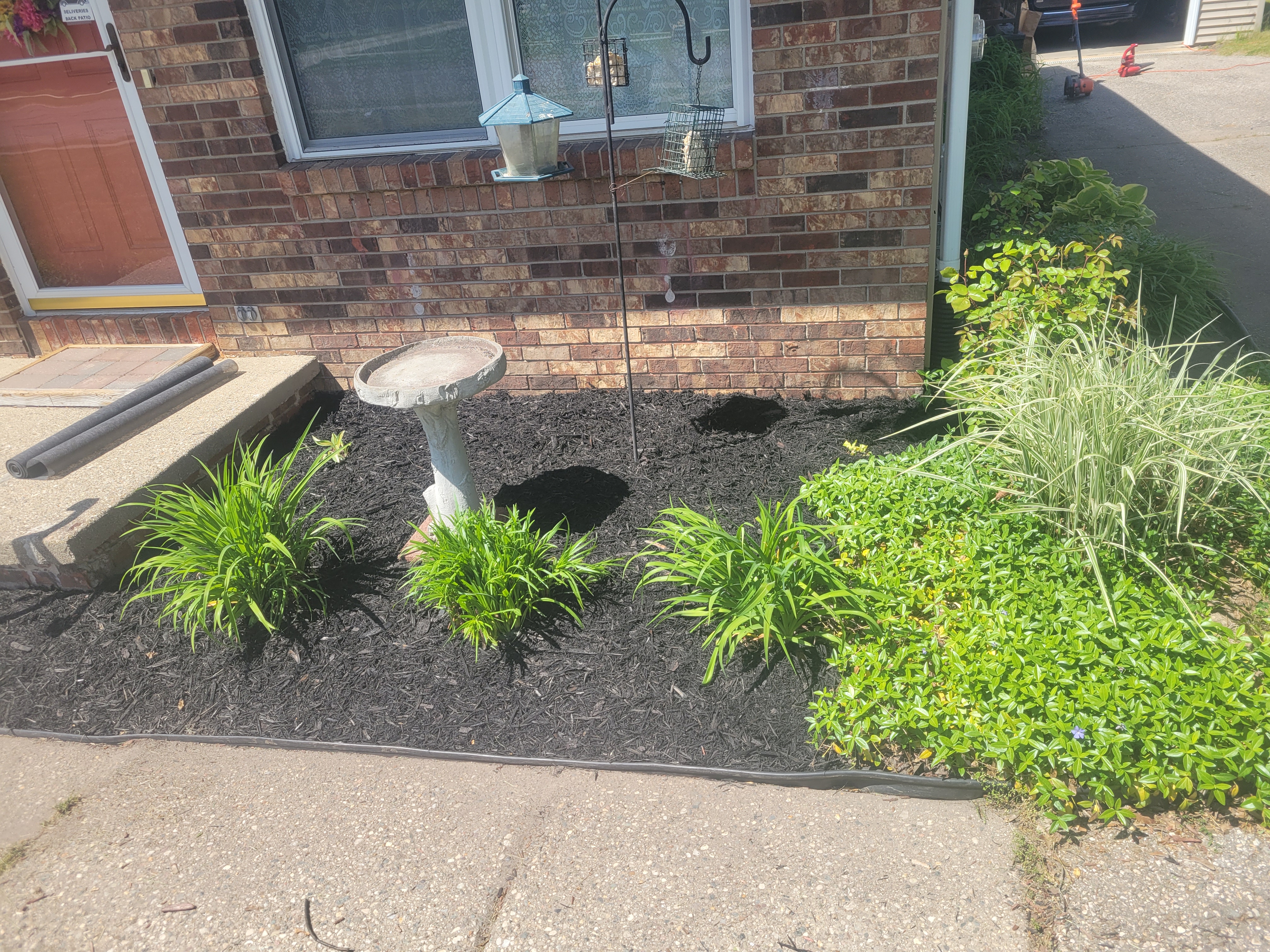 Avatar for Dtt removals