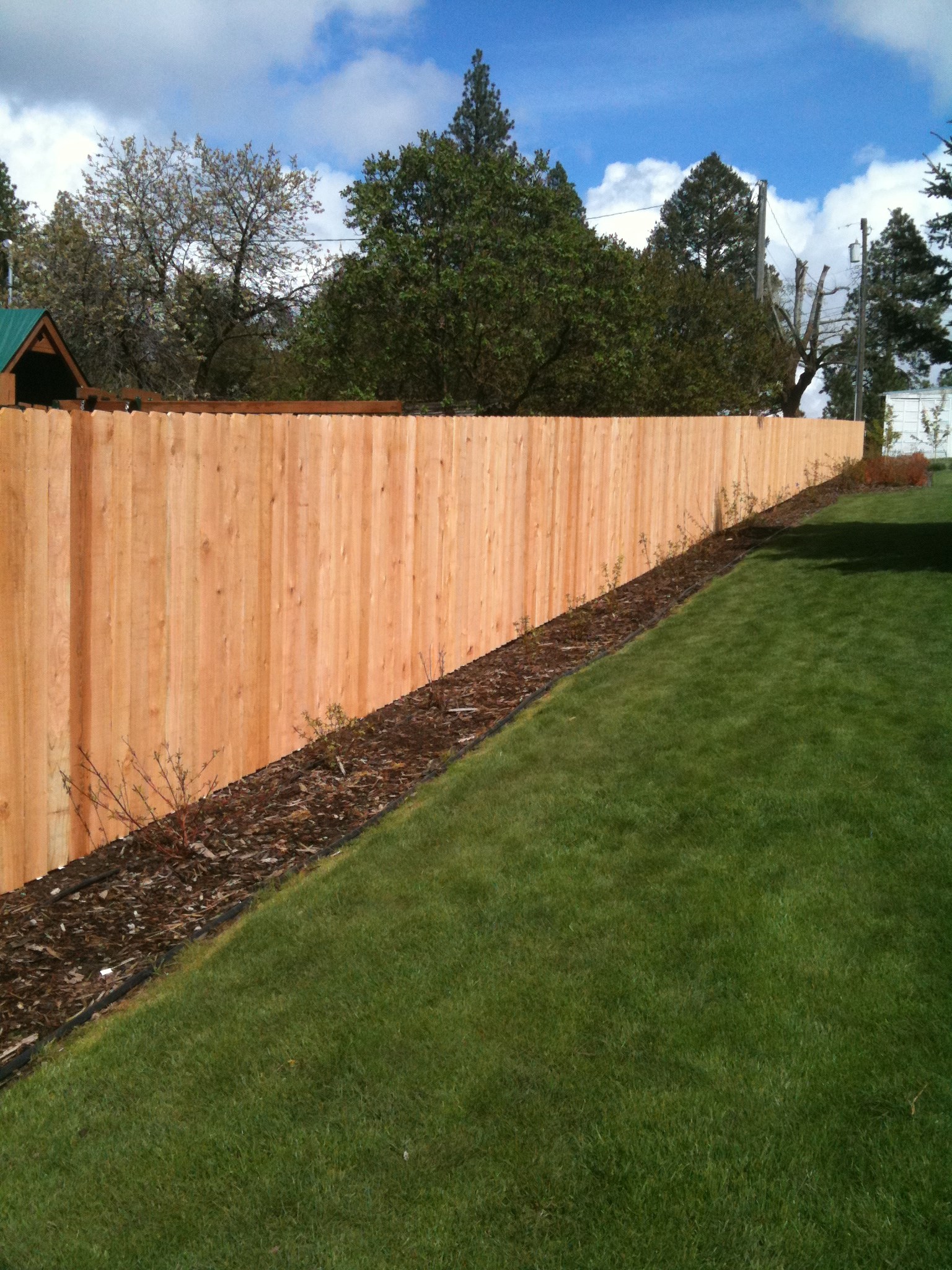 Avatar for Wilder Fencing