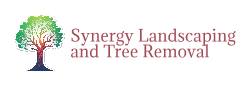 Avatar for Synergy Landscaping and Tree Removal