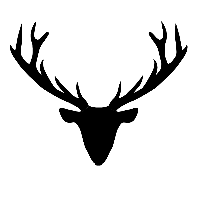 Avatar for Mountain Studio Design