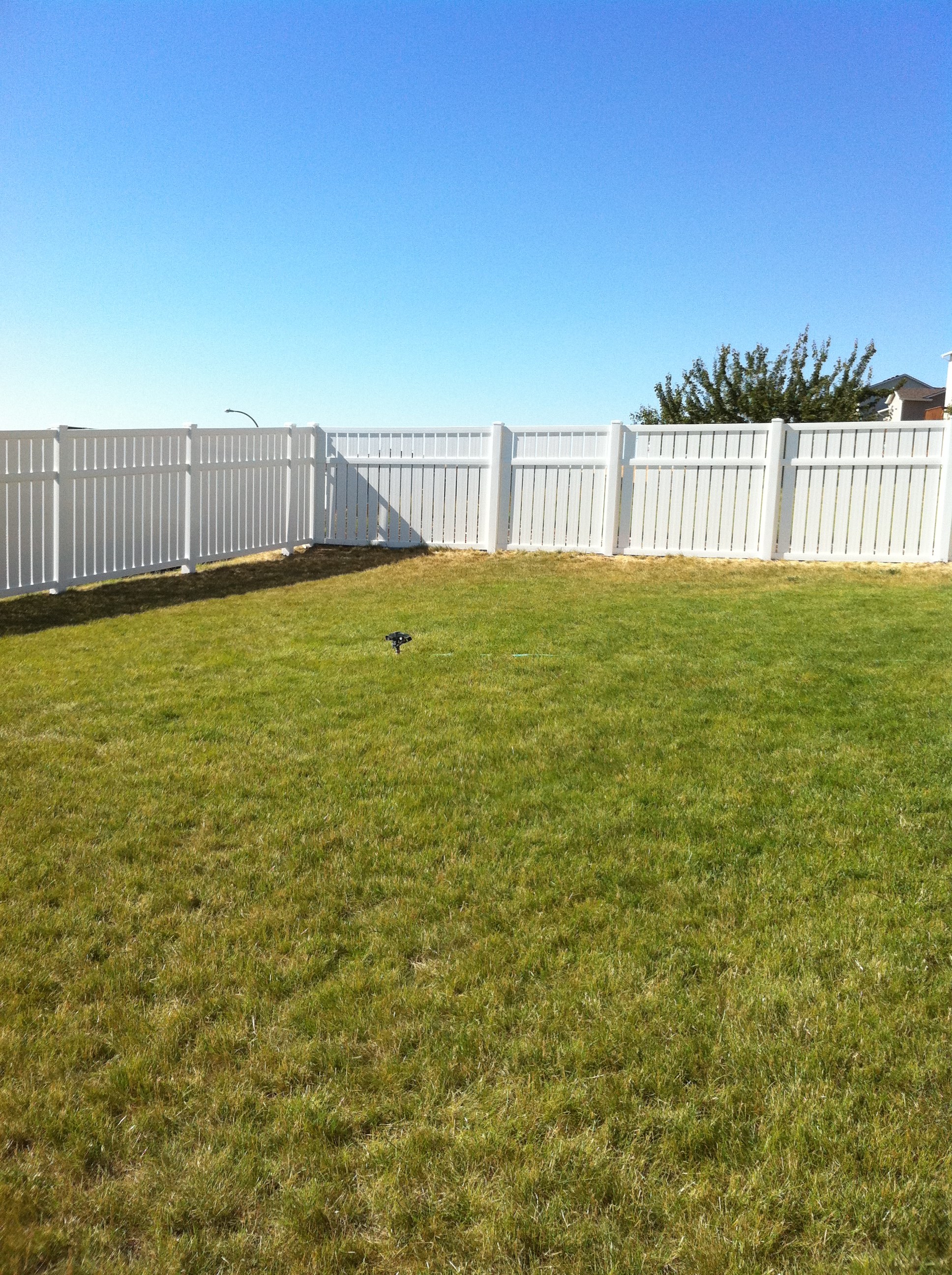 Avatar for Wilder Fencing