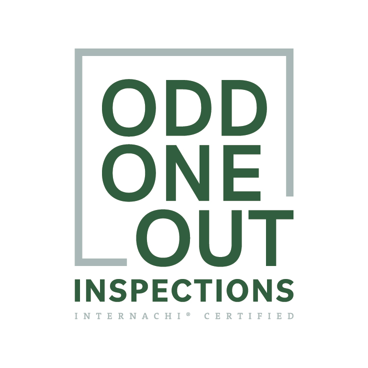 Avatar for Odd One Out Inspections