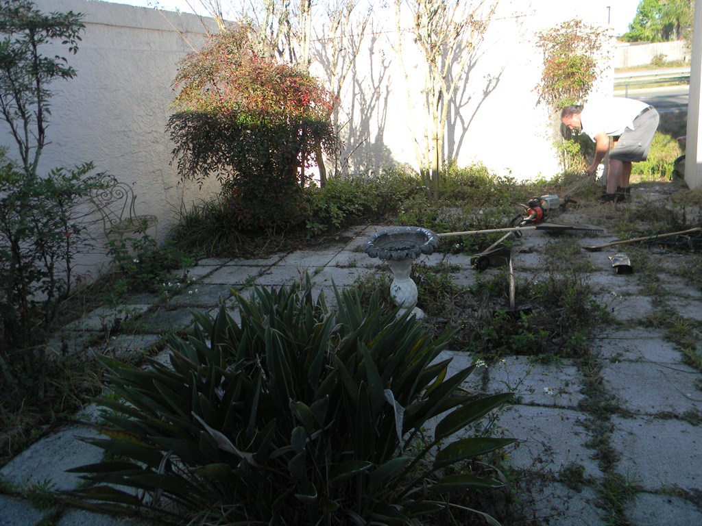 Blade Runners Lawn Care Reviews Port Richey, FL Angi