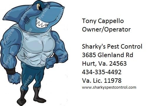 Avatar for Sharky's Pest Control