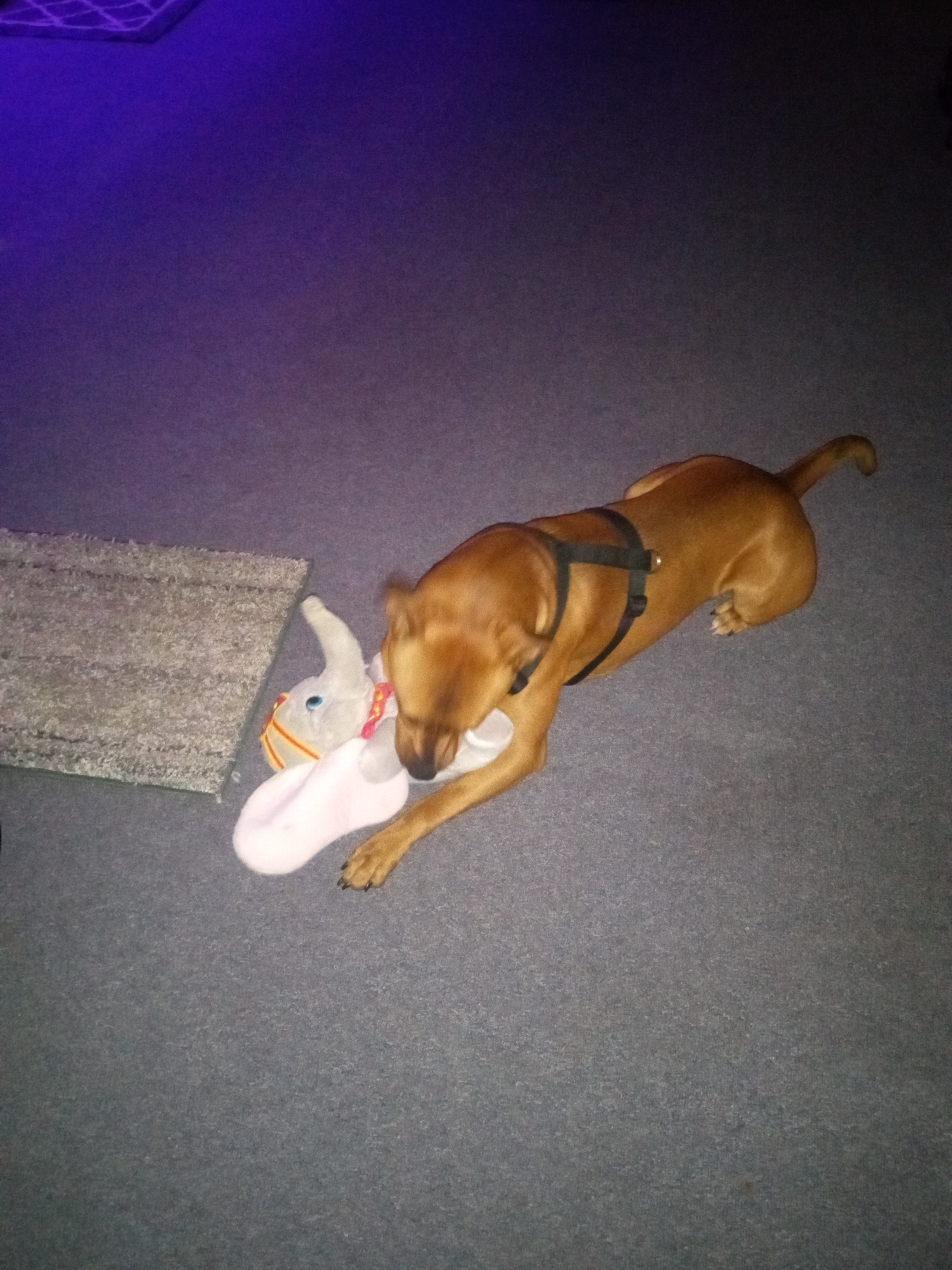 Avatar for Heather richey