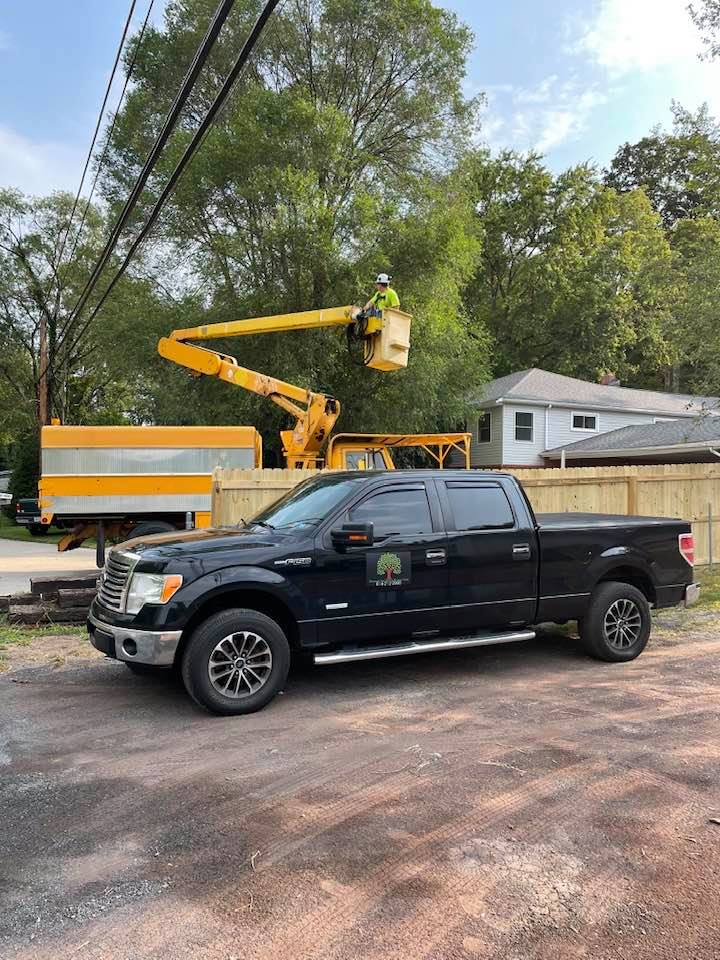 Avatar for Simmons Tree Service