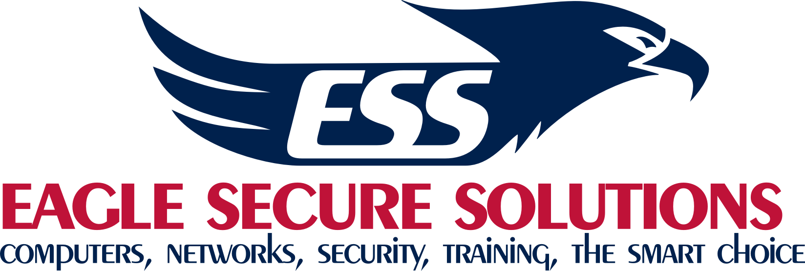 EAGLE SECURE SOLUTIONS LLC logo