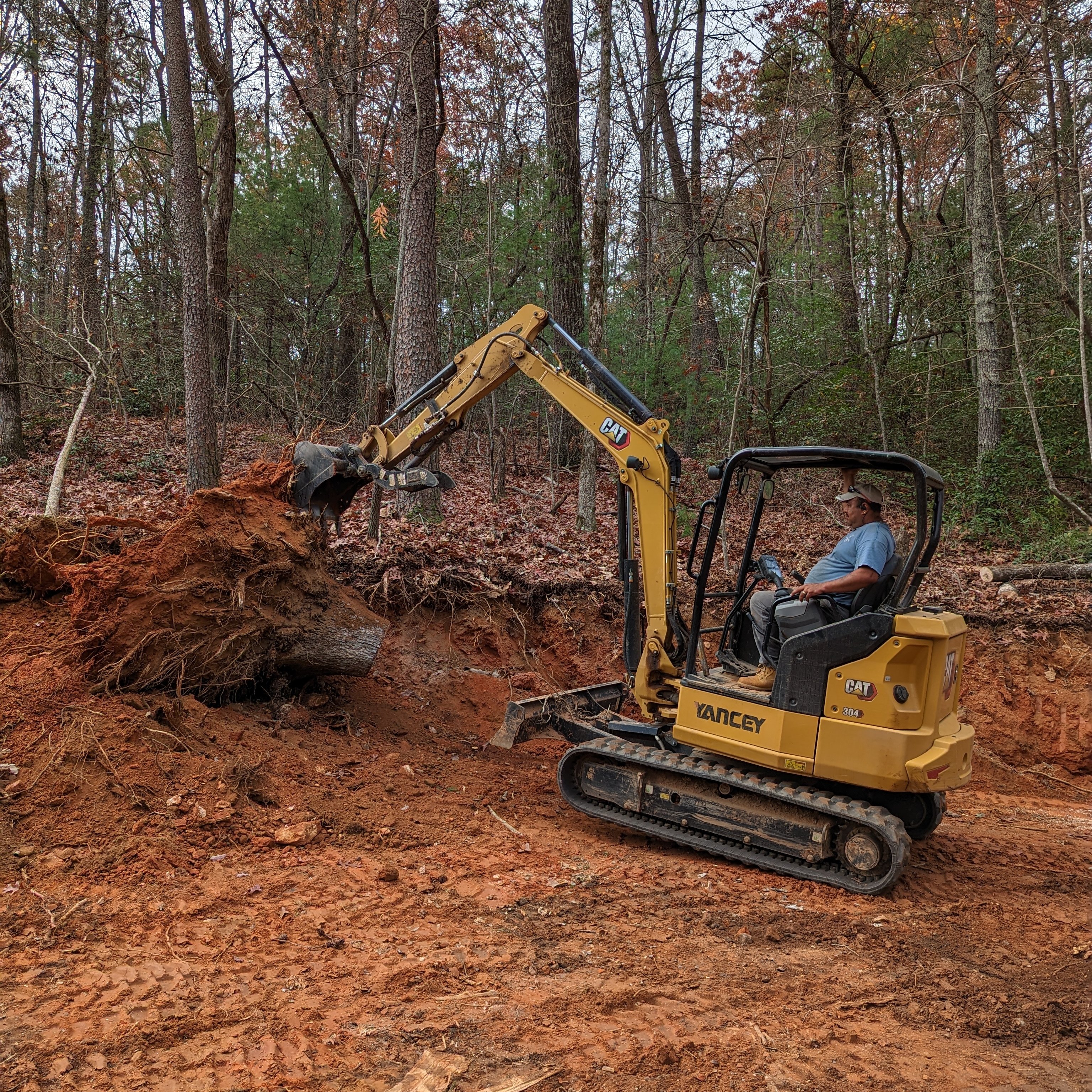 Avatar for Munecos tree services