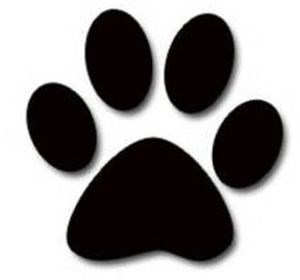 Logo for Petcare Animal Hospital