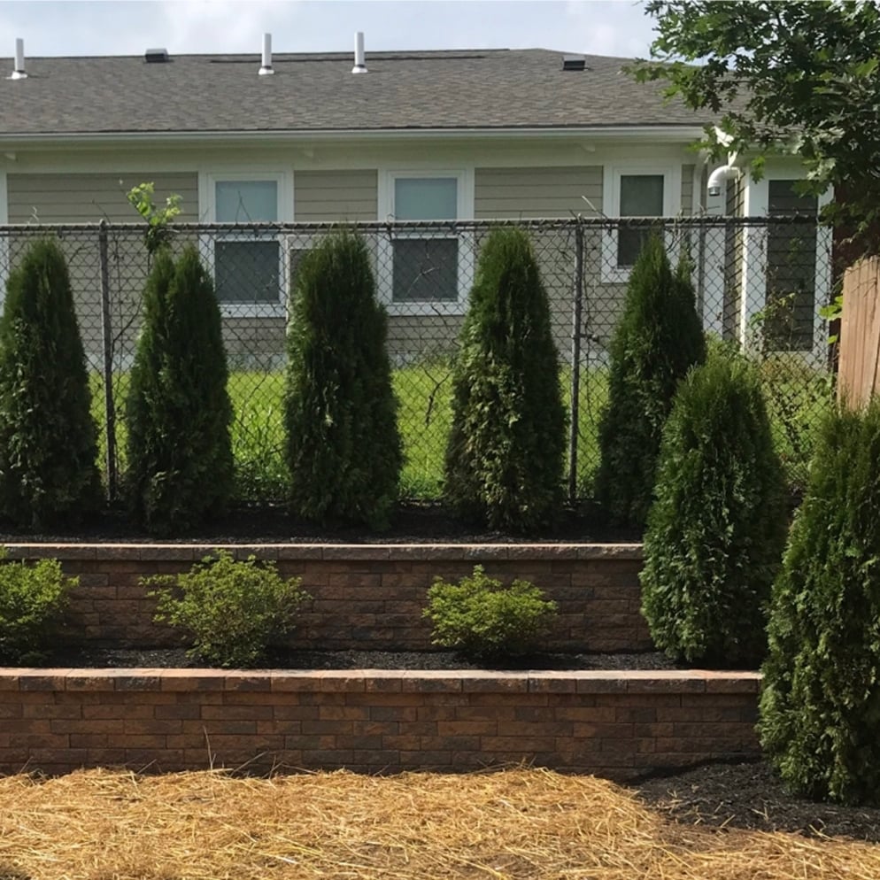 Avatar for AV Landscaping & Stone