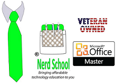 Nerd School logo