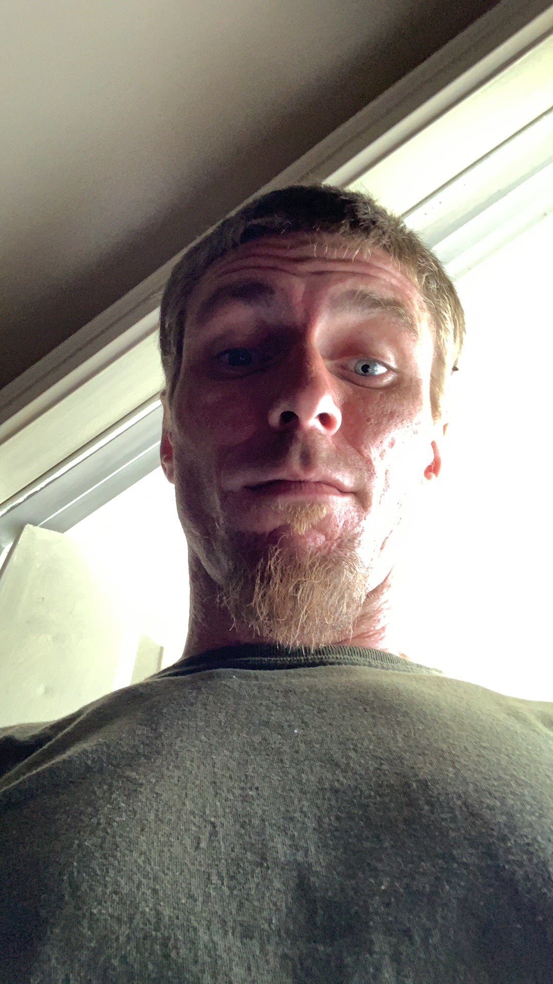 Avatar for Lee brothers