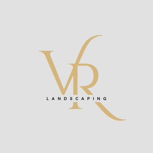 Avatar for Brayan Vega