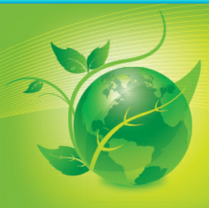 Avatar for Green Cleaning Services