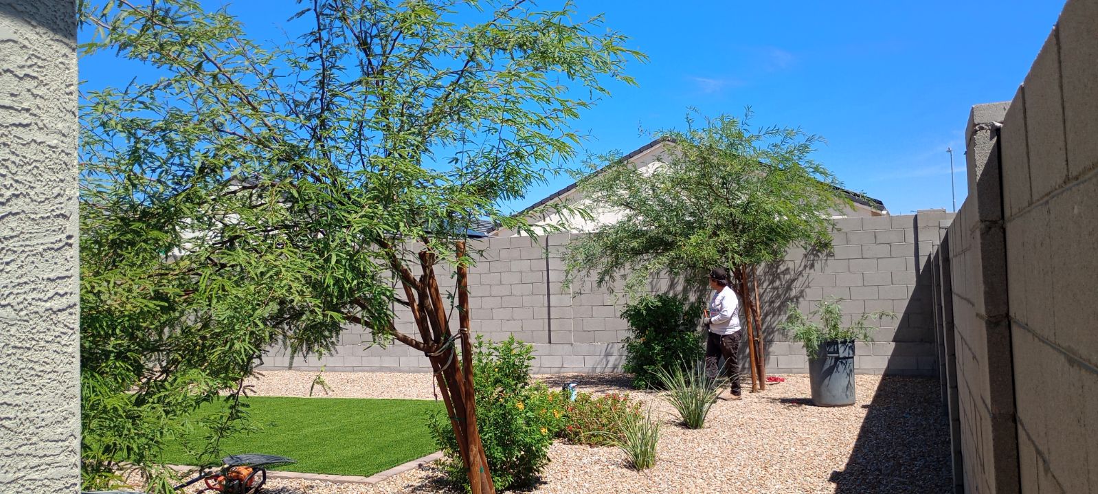 Avatar for Dominick Ortega