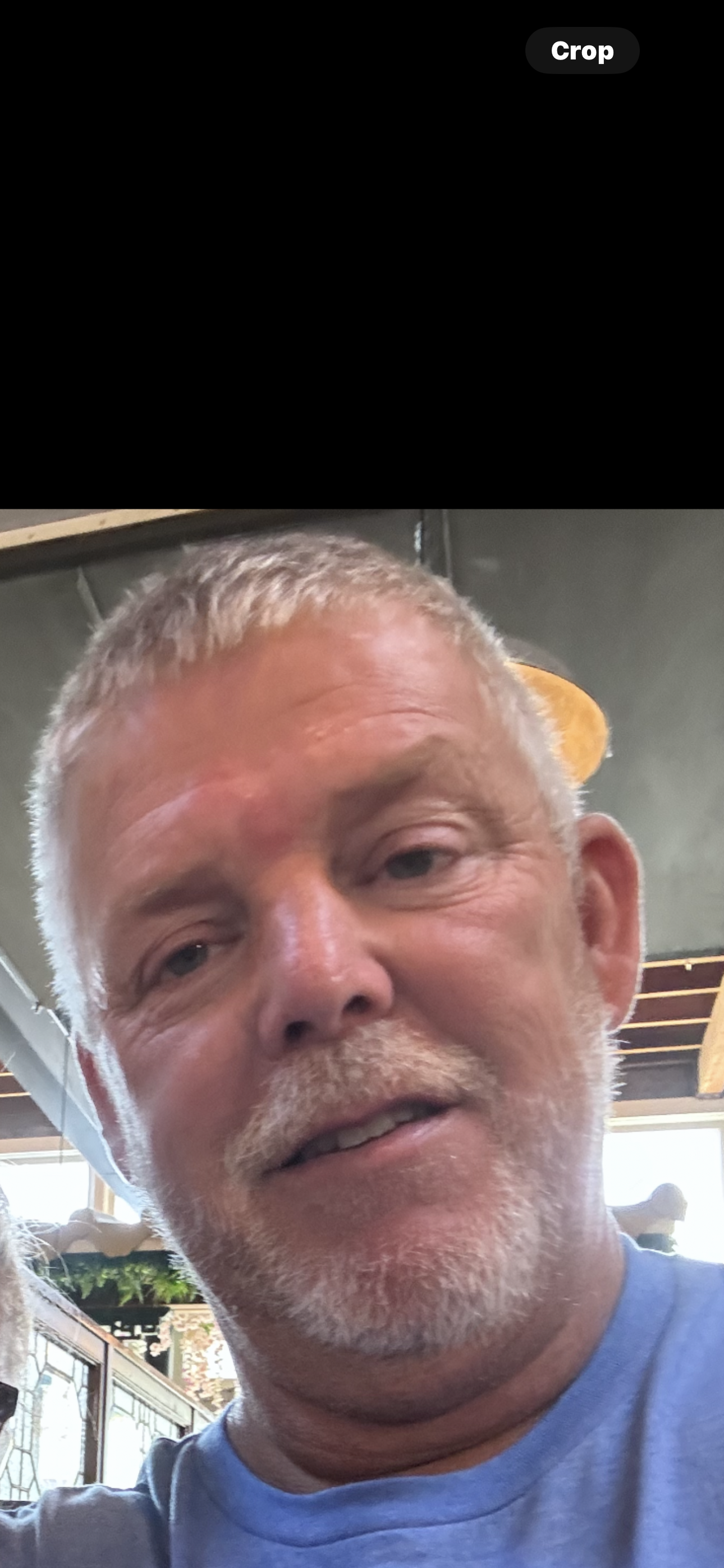 Avatar for David Shelton