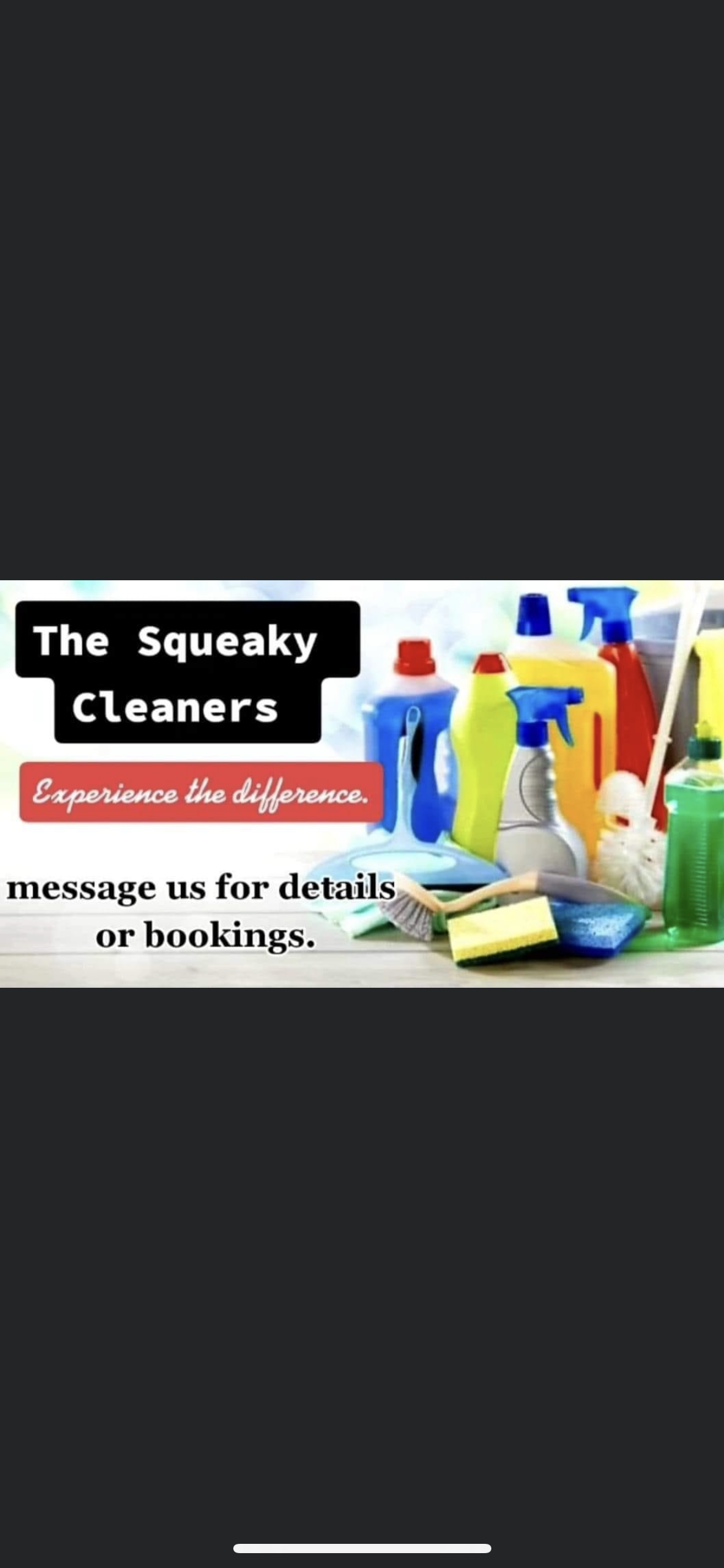 Avatar for Squeaky cleaners