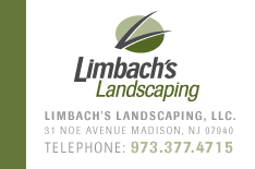 Avatar for Limbach's Landscaping
