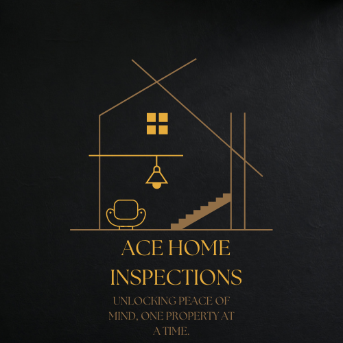 Avatar for Ace Home Inspections