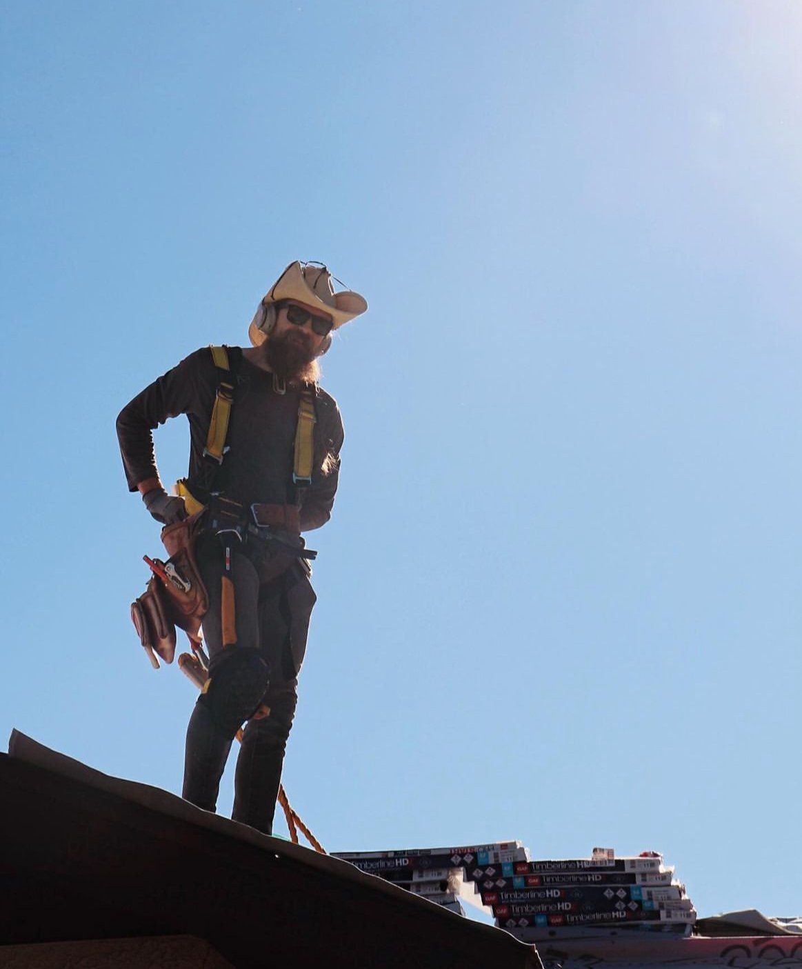 Avatar for Bird Tree Building co