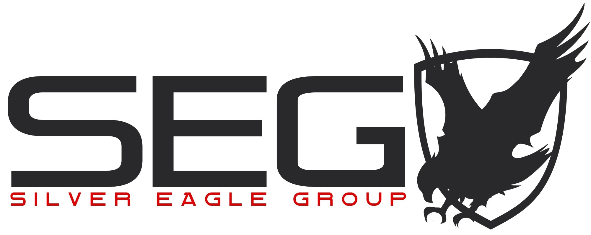 Logo for Silver Eagle Group LLC