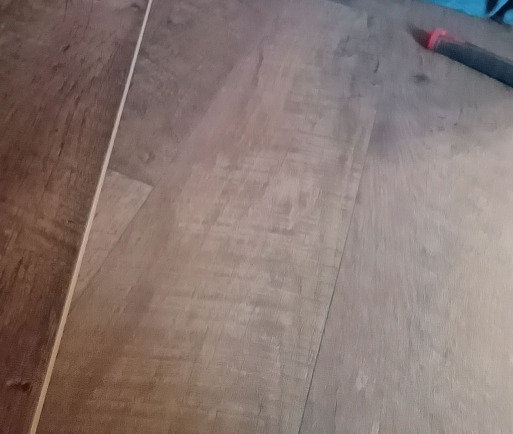 Avatar for Thomas Shepard