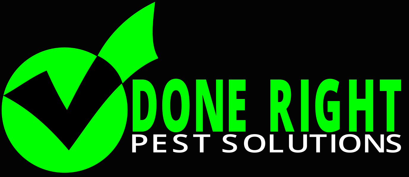 Avatar for Done Right Pest Solutions