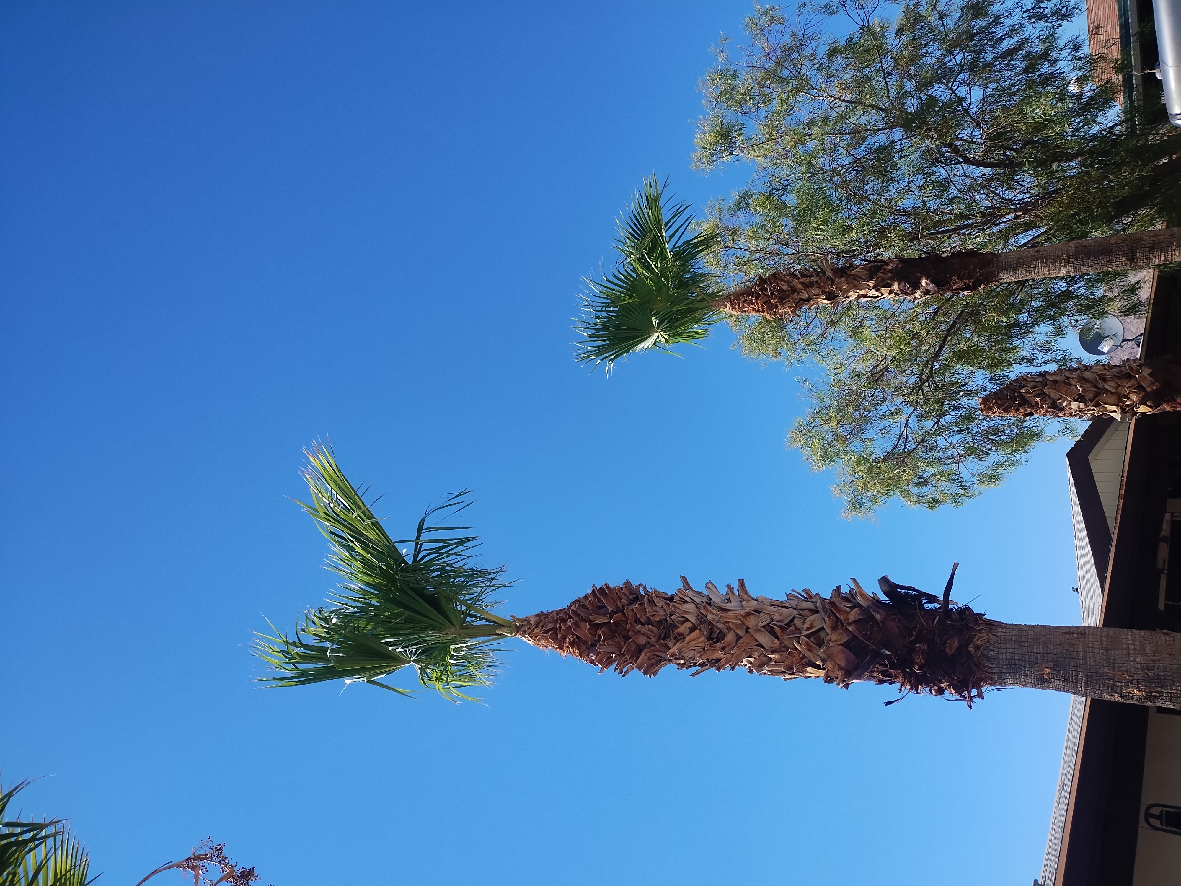 Avatar for Barneys Landscaping 