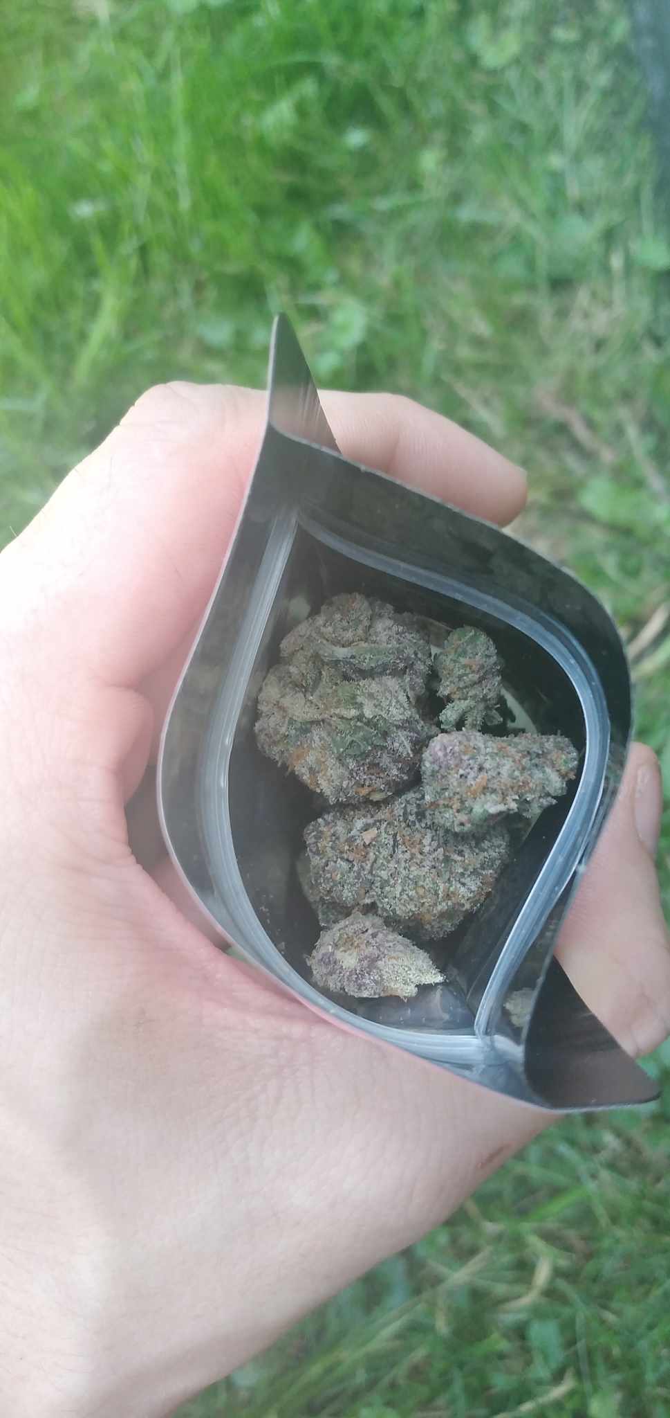 Avatar for Jared hays