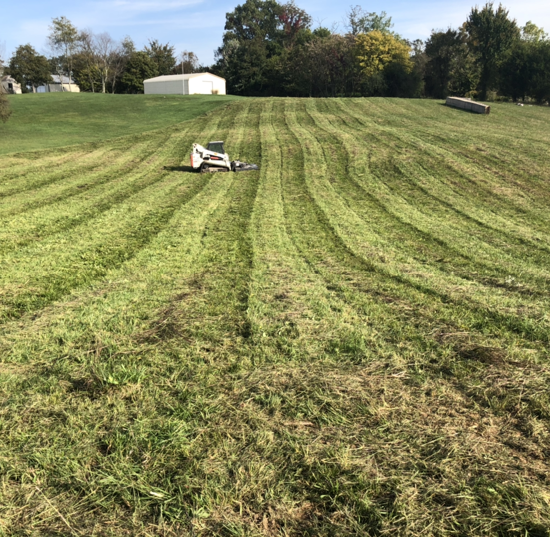 Avatar for The Land Cleaners LLC