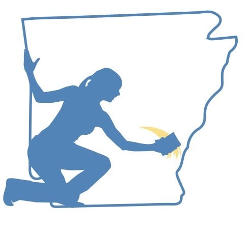 Avatar for iClean Arkansas LLC