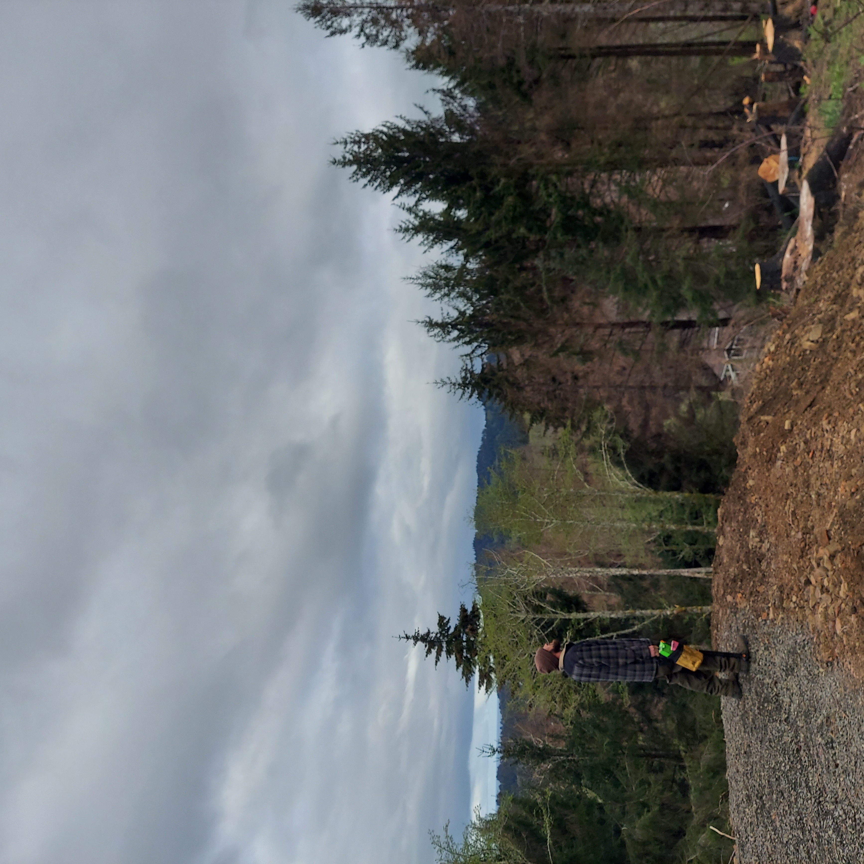 Top 10 Best Tree Removal Services In Salem Or Angi Angie S List