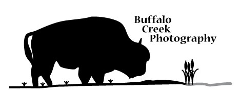 Logo for Buffalo Creek Photography