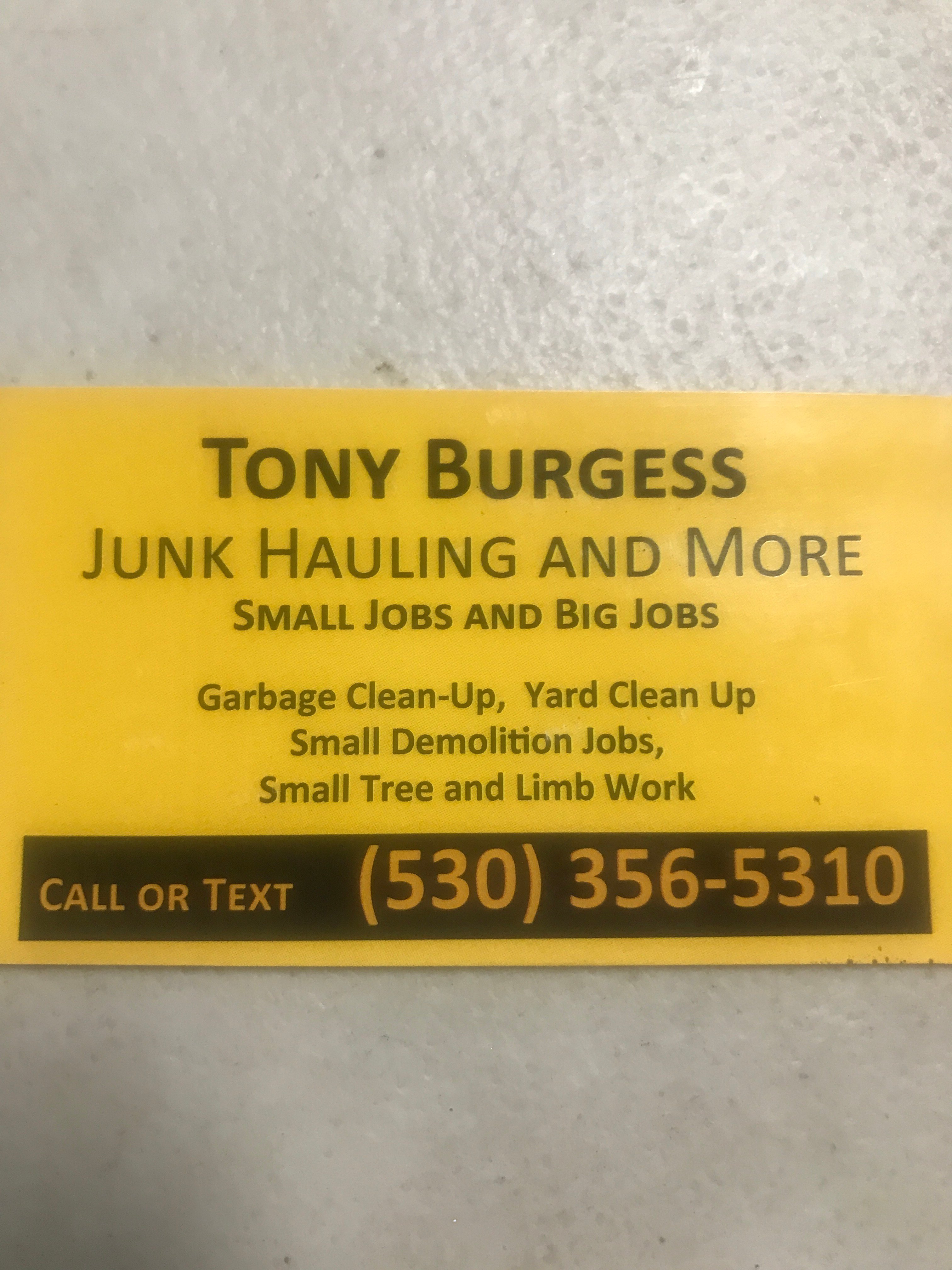 Avatar for Tony Burgess Hauling & Yard Clean Up