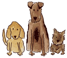 Logo for Comfy Critters Pet Sitting