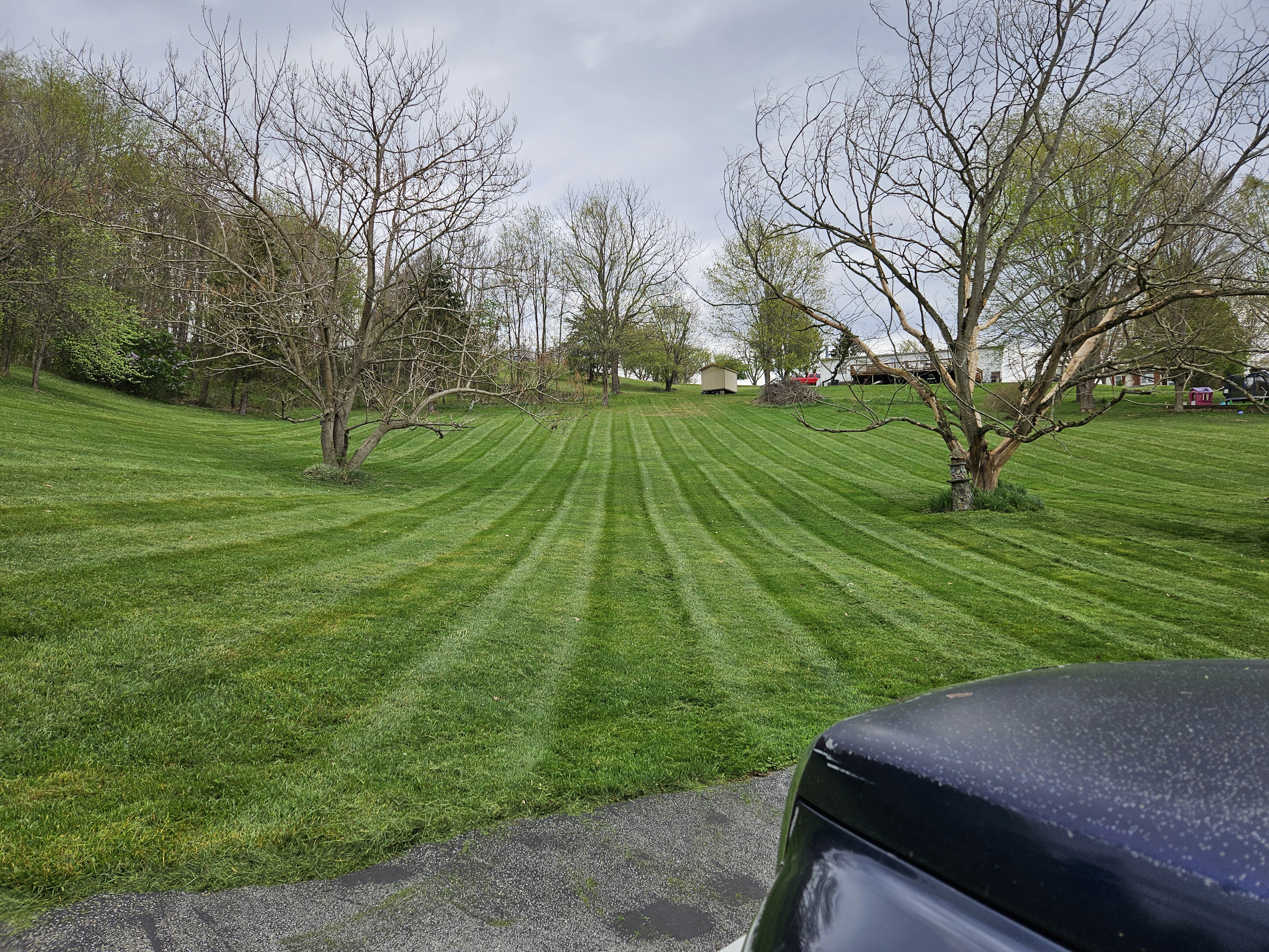 Avatar for Matt street 